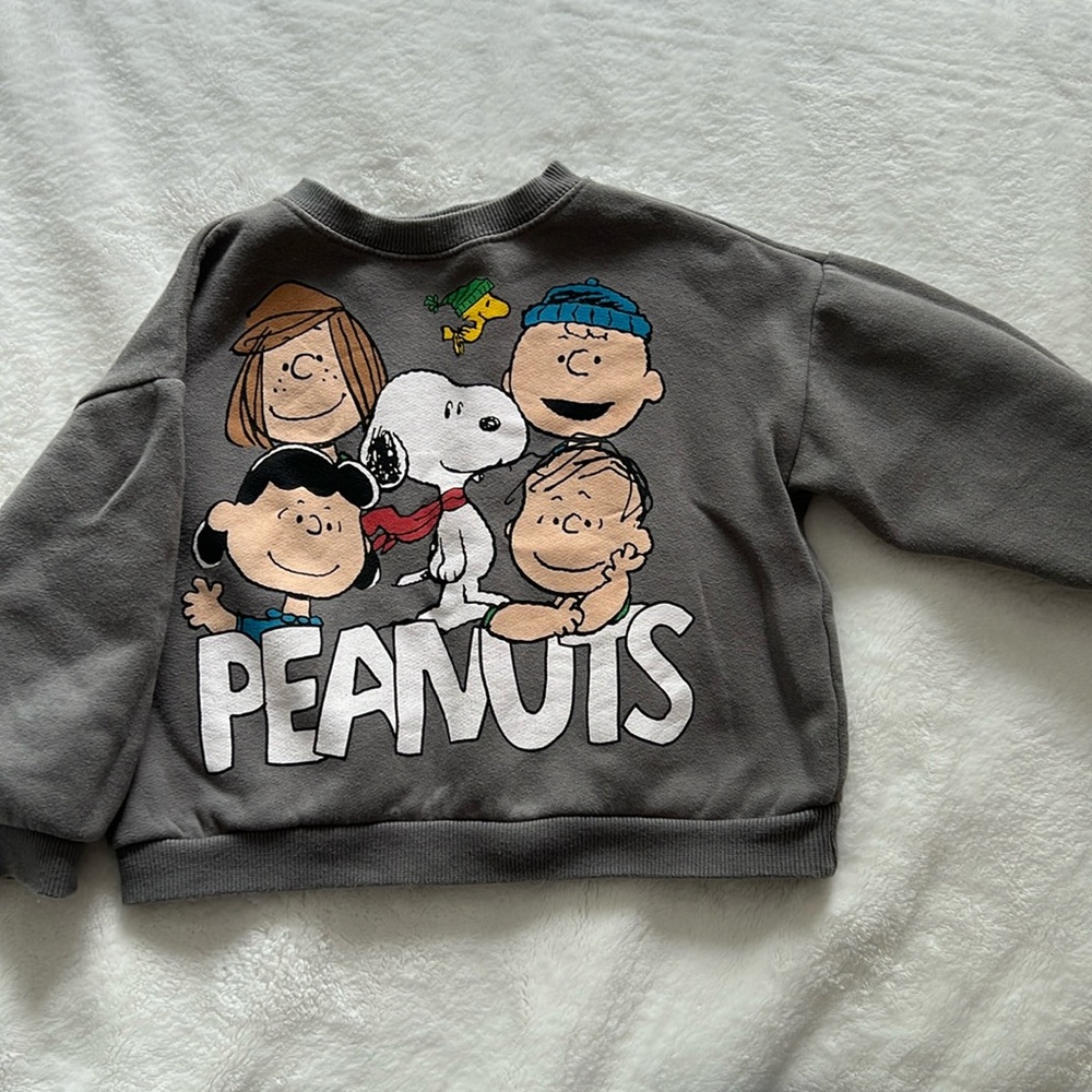 Zara toddler hoodie